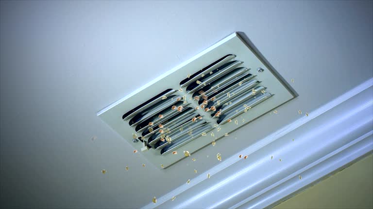 Best Commercial HVAC Duct Cleaning  in Hollymead, VA