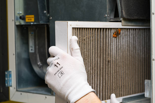 Best Air Duct Cleaning Company Near Me  in Hollymead, VA