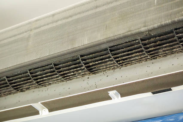 Best Duct Cleaning for Homes  in Hollymead, VA