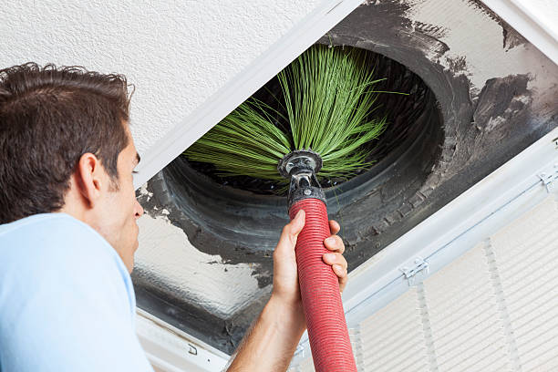 Best Dryer Vent Cleaning Services  in Hollymead, VA